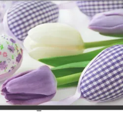 Televizyon32PA225EG0.0 (0)