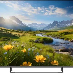 Televizyon55PA535ESG0.0 (0)