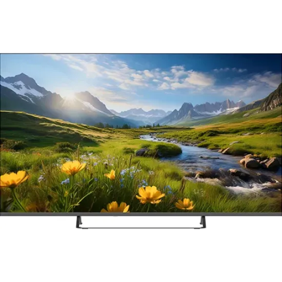Televizyon55PA535ESG0.0 (0)