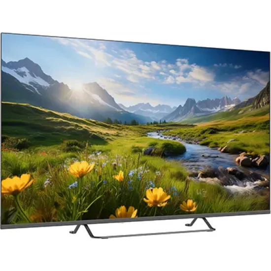 Televizyon55PA535ESG0.0 (0)
